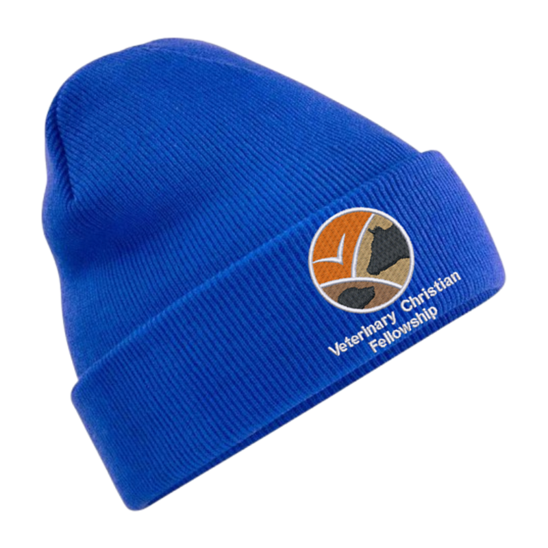 Knitted beanie hat with embroidered logo to front