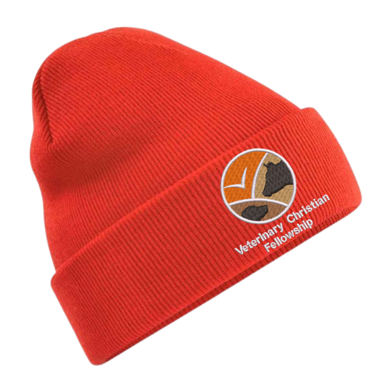 Knitted beanie hat with embroidered logo to front
