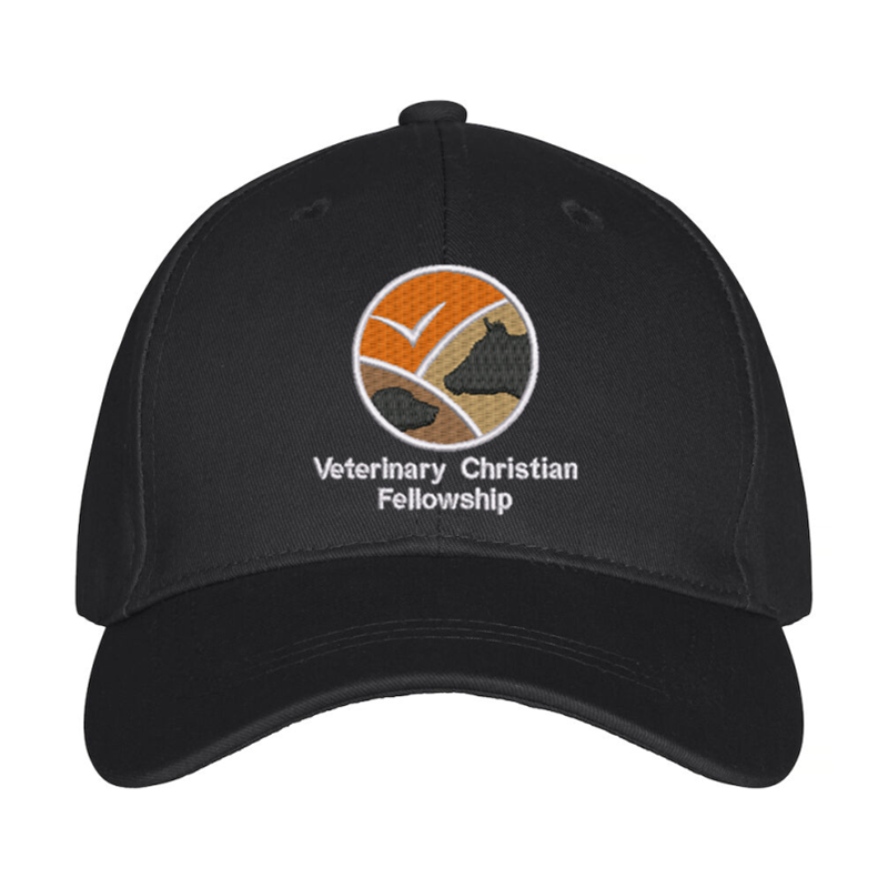 Premium baseball cap with embroidered logo