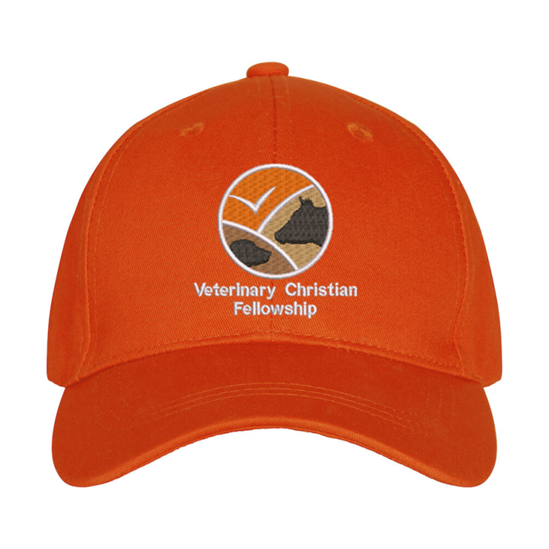 Premium baseball cap with embroidered logo