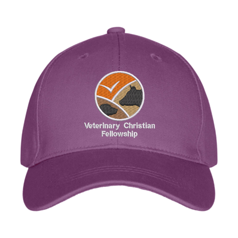 Premium baseball cap with embroidered logo