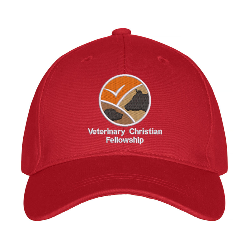 Premium baseball cap with embroidered logo