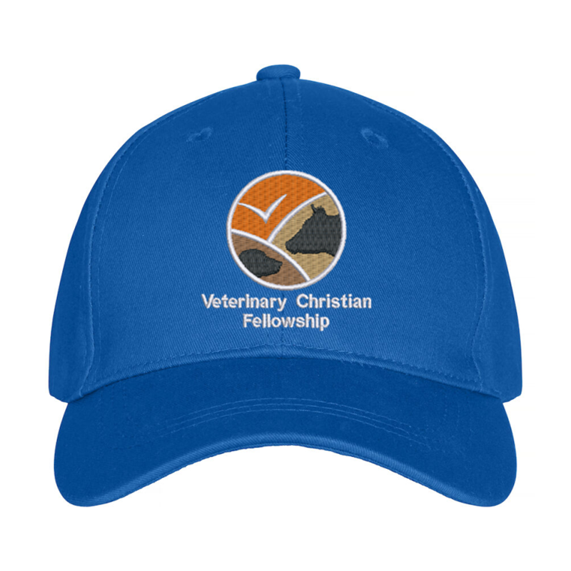 Premium baseball cap with embroidered logo