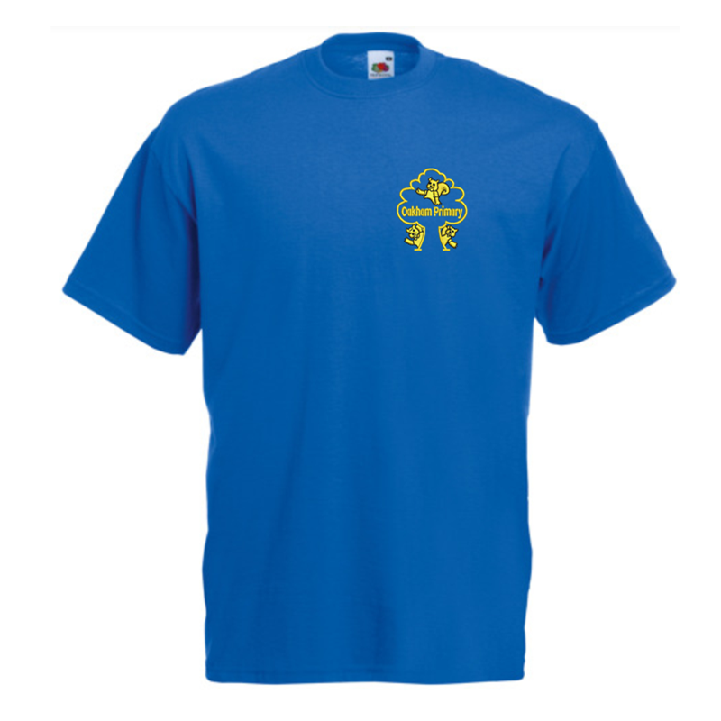 Blue cotton PE T Shirt with School logo
