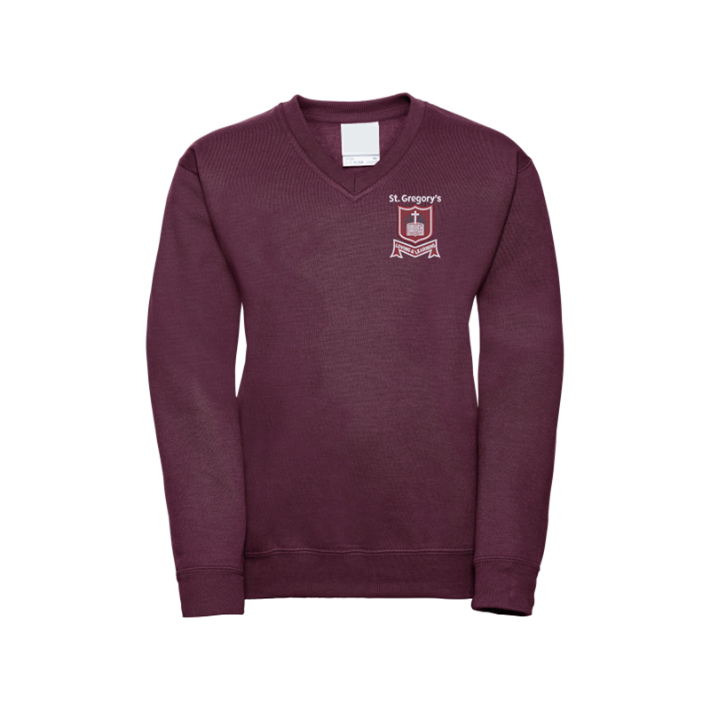 Jersey V Neck Sweatshirt embroidered with School logo.