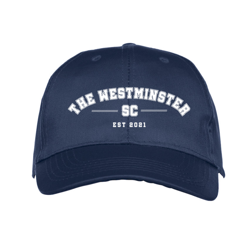 Pro baseball cap with logo embroidered
